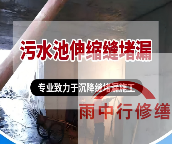 湛江2026年高分子防水卷材成高端市场主流，光伏屋面需求爆发